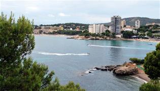 image for Lessons from the Legionnaires’ disease outbreak in Mallorca